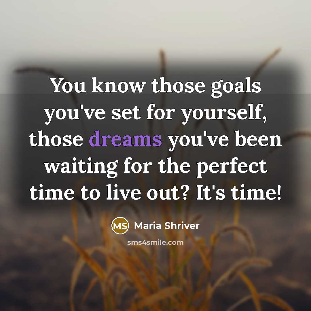 “You know those goals you've set for yourself, those dreams you've been waiting for the perfect time to live out? It's time!” quote by Maria Shriver