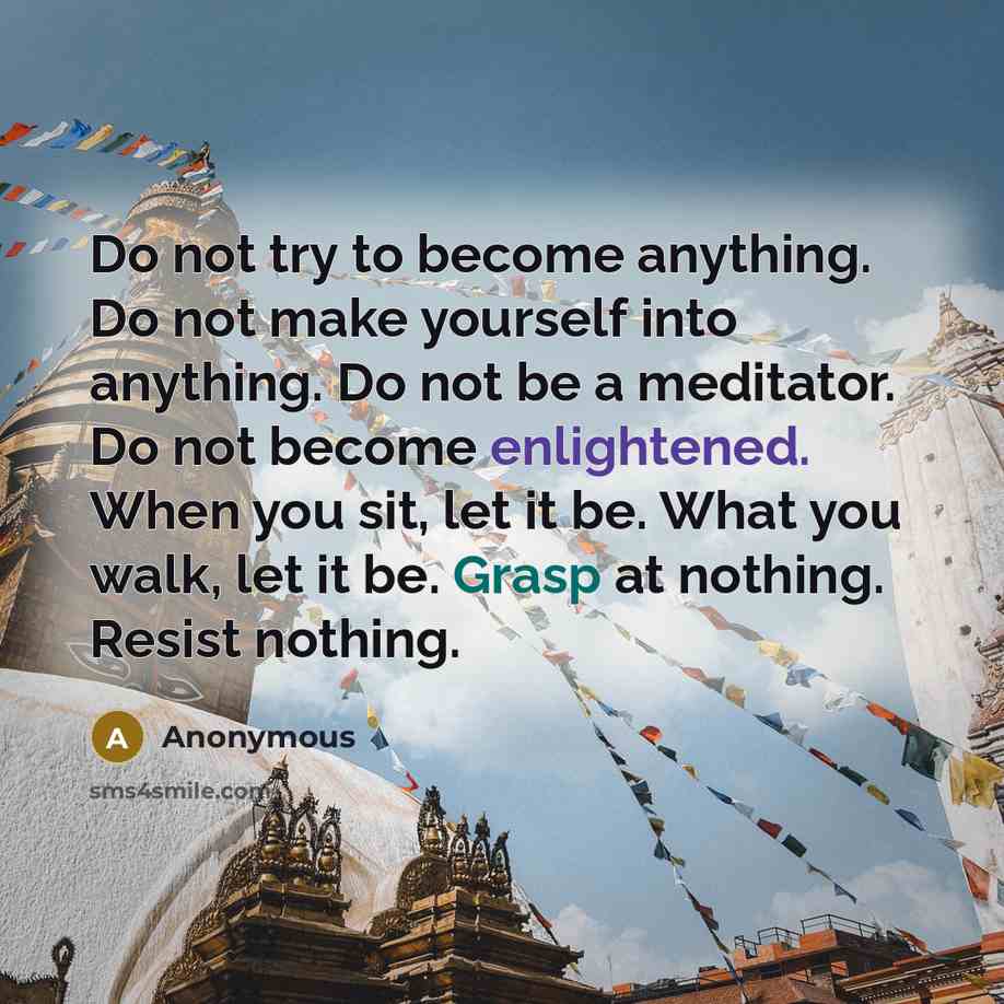 “Do not try to become anything. Do not make yourself into anything. Do not be a meditator. Do not become enlightened. When you sit, let it be. What you walk, let it be. Grasp at nothing. Resist nothing.” quote by Anonymous