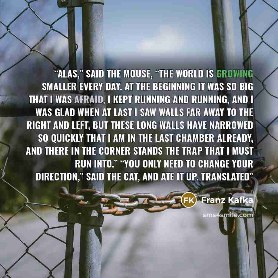 “ALAS,” said the mouse, “the world is growing smaller every day. At the beginning it was so big that I was afraid, I kept running and running, and I was glad when at last I saw walls far away to the right and left, but these long walls have narrowed so quickly that I am in the last chamber already…” quote by Franz Kafka