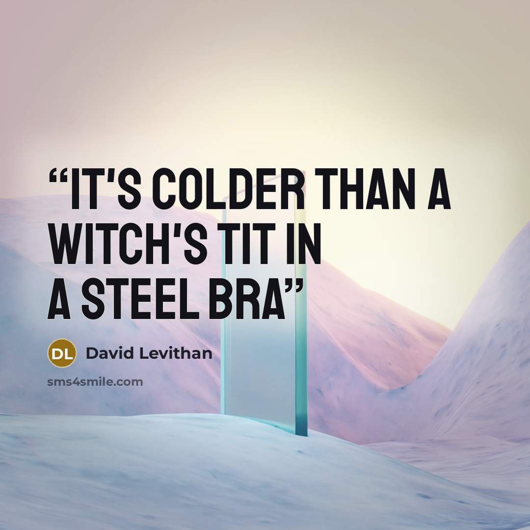 “it's colder than a witch's tit in a steel bra” quote by David Levithan