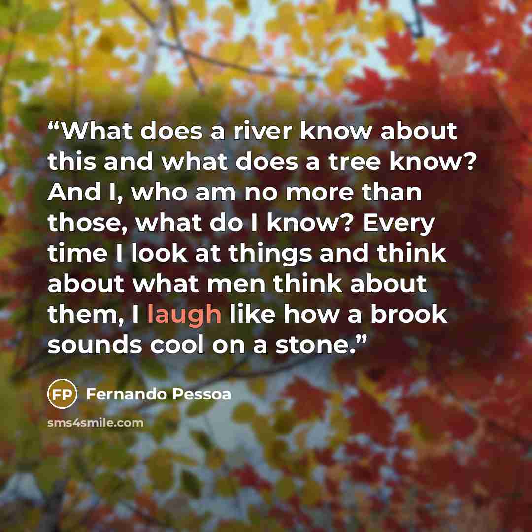 “What does a river know about this and what does a tree know? And I, who am no more than those, what do I know? Every time I look at things and think about what men think about them, I laugh like how a brook sounds cool on a stone.” quote by Fernando Pessoa