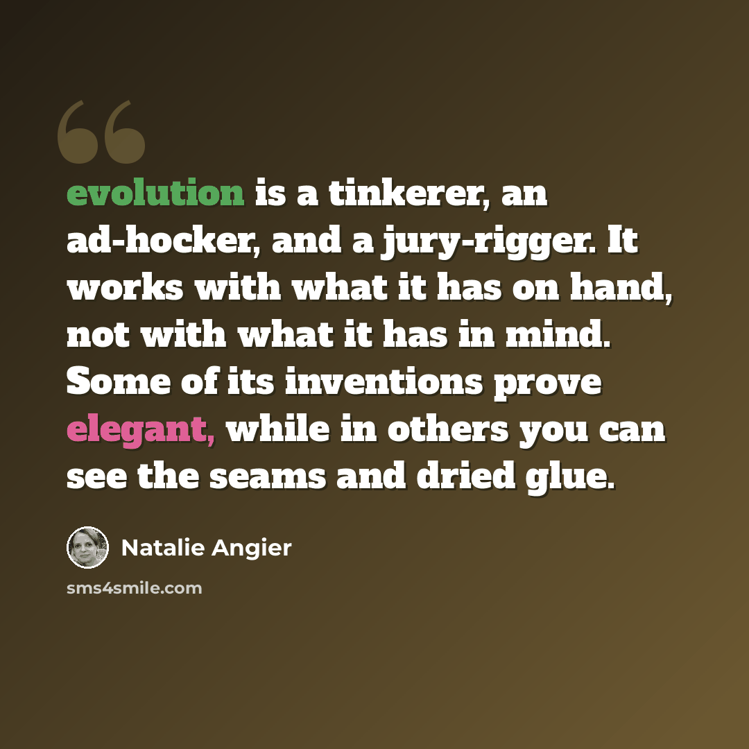 “evolution is a tinkerer, an ad-hocker, and a jury-rigger. It works with what it has on hand, not with what it has in mind. Some of its inventions prove elegant, while in others you can see the seams and dried glue.” quote by Natalie Angier