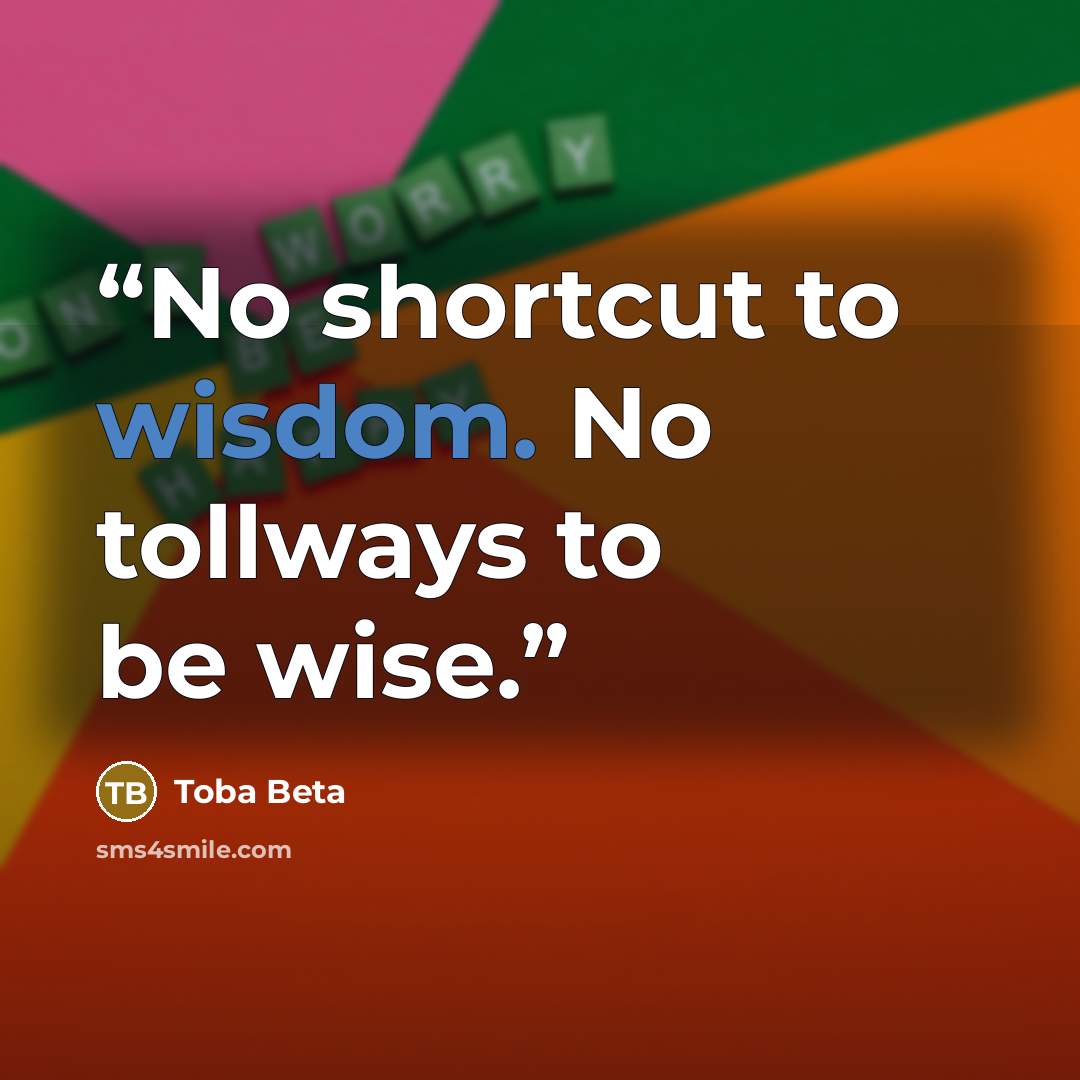 “No shortcut to wisdom. No tollways to be wise.” quote by Toba Beta