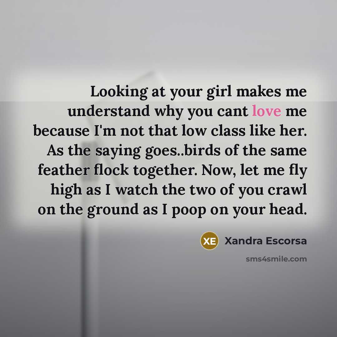 “Looking at your girl makes me understand why you cant love me because I'm not that low class like her. As the saying goes..birds of the same feather flock together. Now, let me fly high as I watch the two of you crawl on the ground as I poop on your head.” quote by Xandra Escorsa