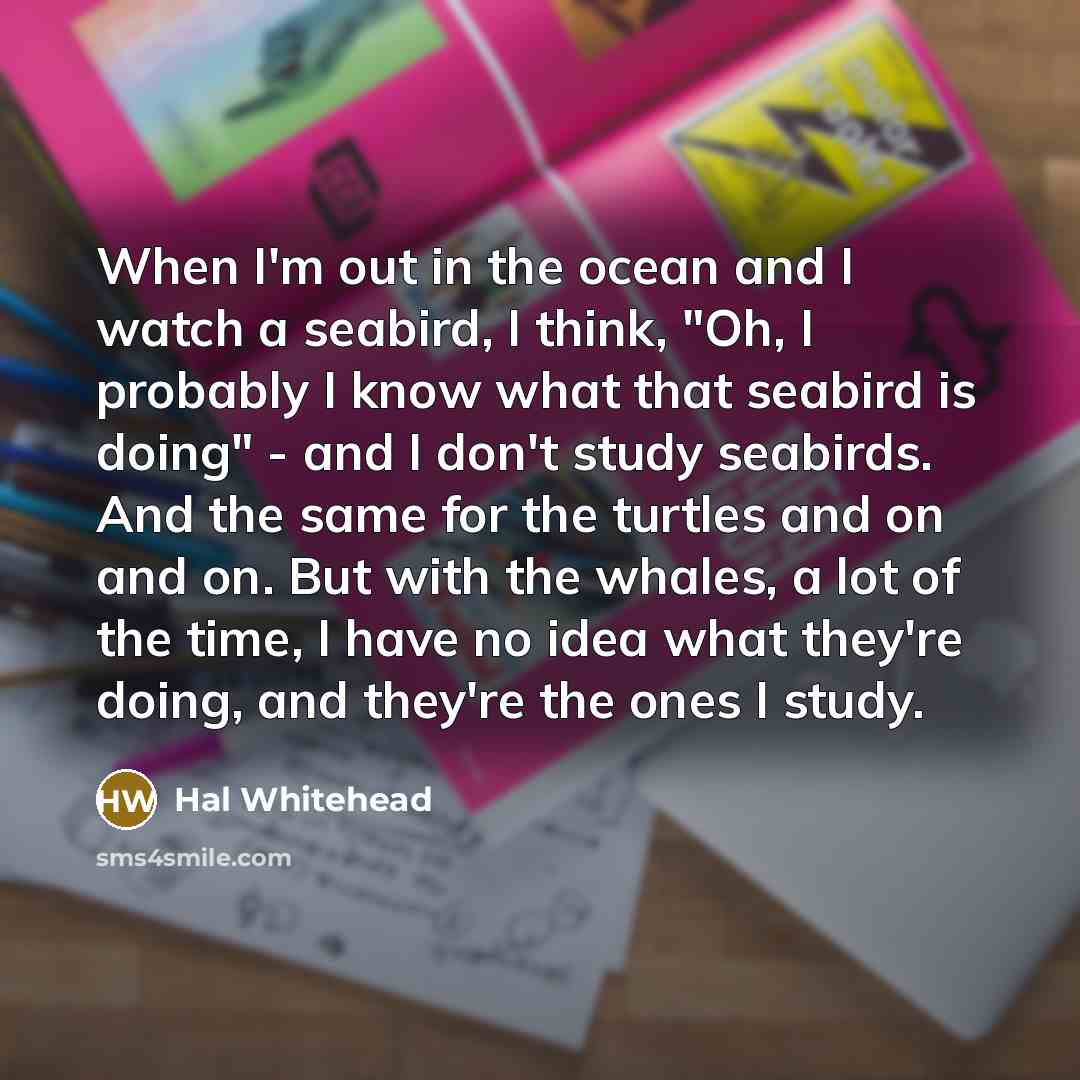 “When I'm out in the ocean and I watch a seabird, I think, "Oh, I probably I know what that seabird is doing" - and I don't study seabirds. And the same for the turtles and on and on. But with the whales, a lot of the time, I have no idea what they're doing, and they're the ones I study.” quote by Hal Whitehead