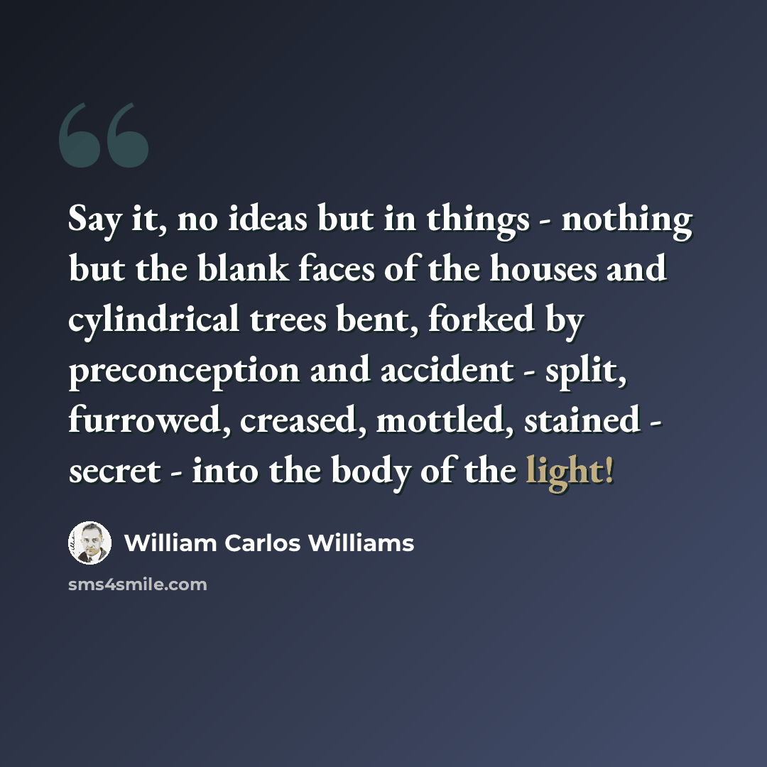 “Say it, no ideas but in things - nothing but the blank faces of the houses and cylindrical trees bent, forked by preconception and accident - split, furrowed, creased, mottled, stained - secret - into the body of the light!” quote by William Carlos Williams