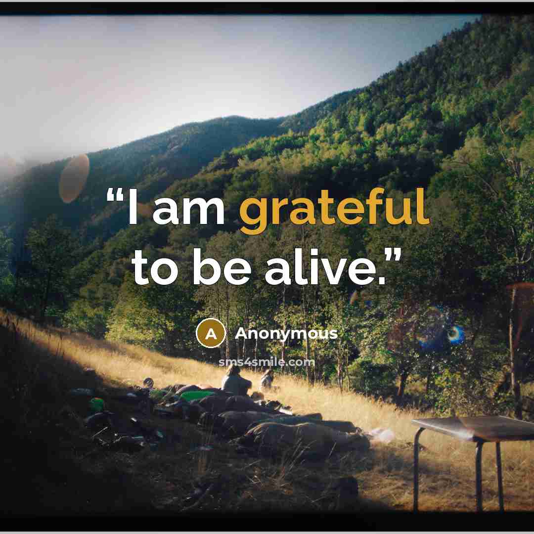 “I am grateful to be alive.” quote by Anonymous