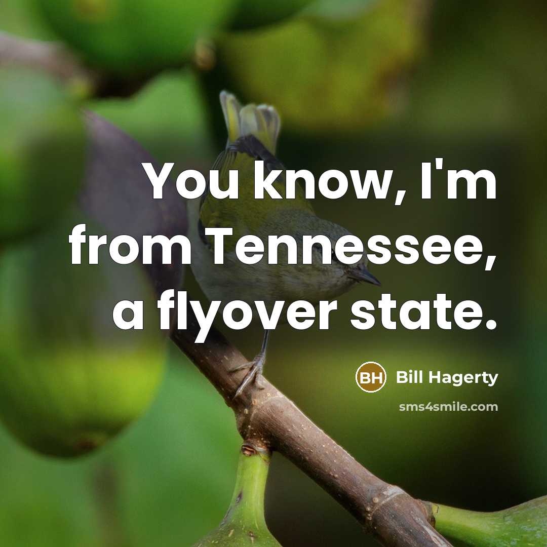 “You know, I'm from Tennessee, a flyover state.” quote by Bill Hagerty