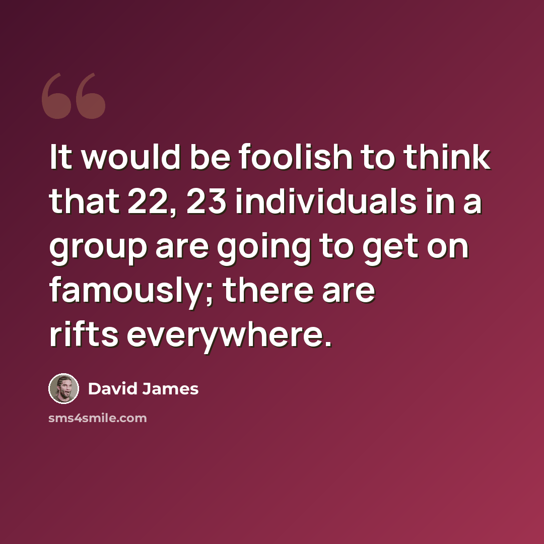 “It would be foolish to think that 22, 23 individuals in a group are going to get on famously; there are rifts everywhere.” quote by David James
