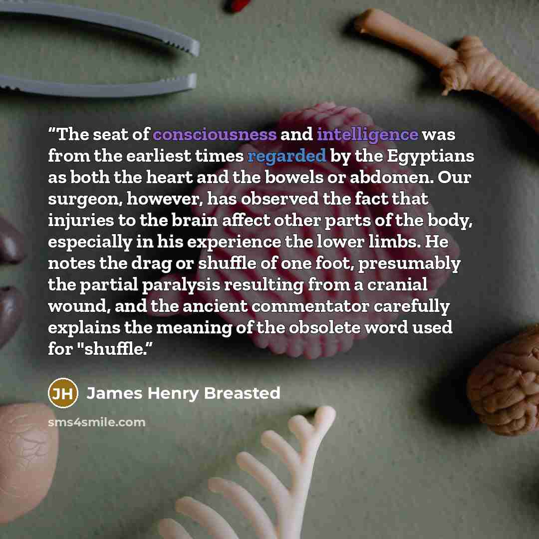 “The seat of consciousness and intelligence was from the earliest times regarded by the Egyptians as both the heart and the bowels or abdomen. Our surgeon, however, has observed the fact that injuries to the brain affect other parts of the body, especially in his experience the lower limbs. He…” quote by James Henry Breasted