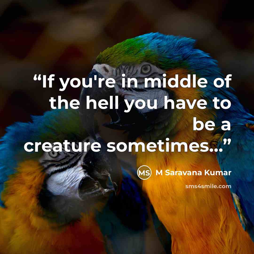 “If you're in middle of the hell you have to be a creature sometimes...” quote by M Saravana Kumar