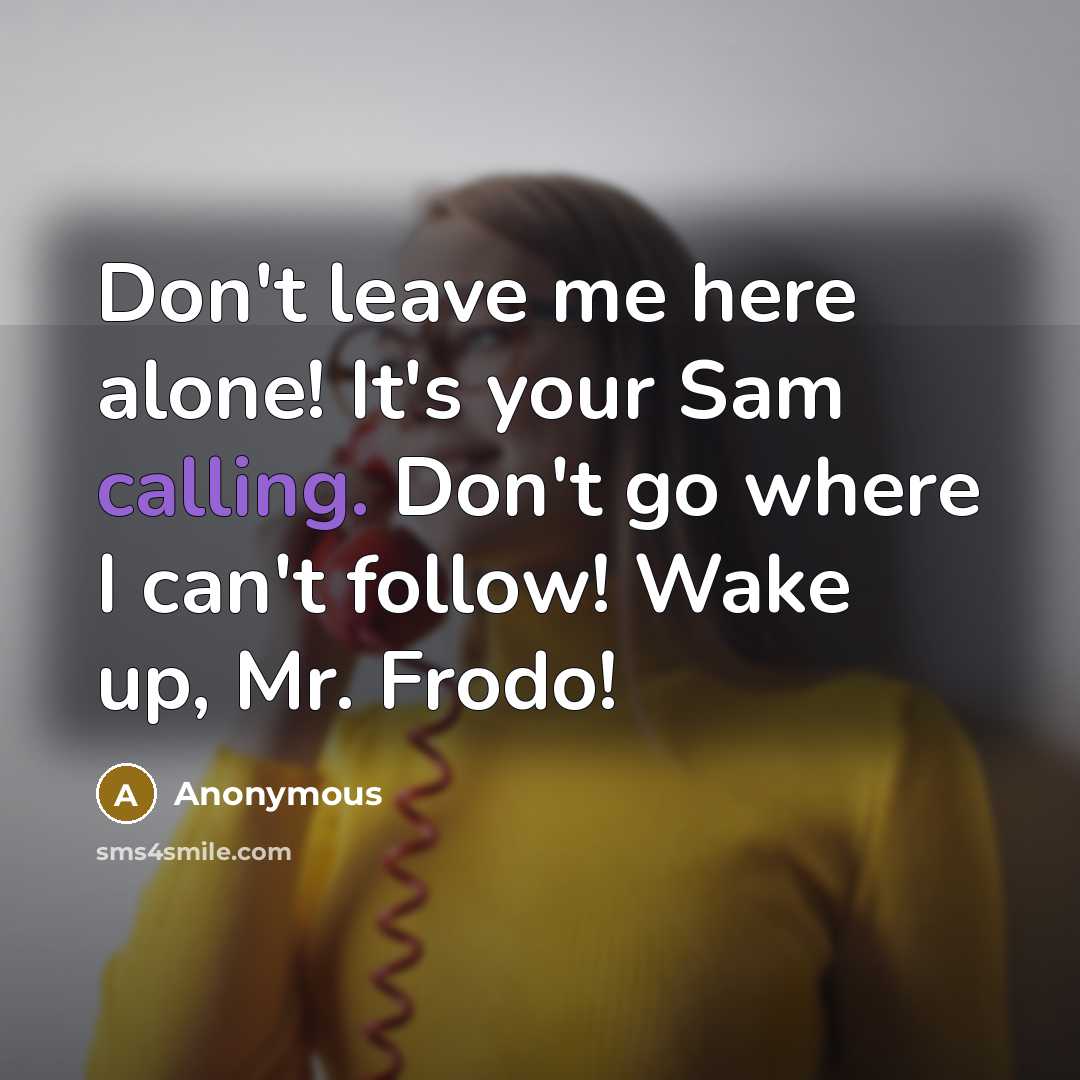 “Don't leave me here alone! It's your Sam calling. Don't go where I can't follow! Wake up, Mr. Frodo!” quote by Anonymous