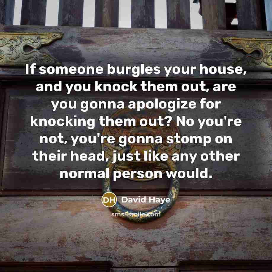“If someone burgles your house, and you knock them out, are you gonna apologize for knocking them out? No you're not, you're gonna stomp on their head, just like any other normal person would.” quote by David Haye