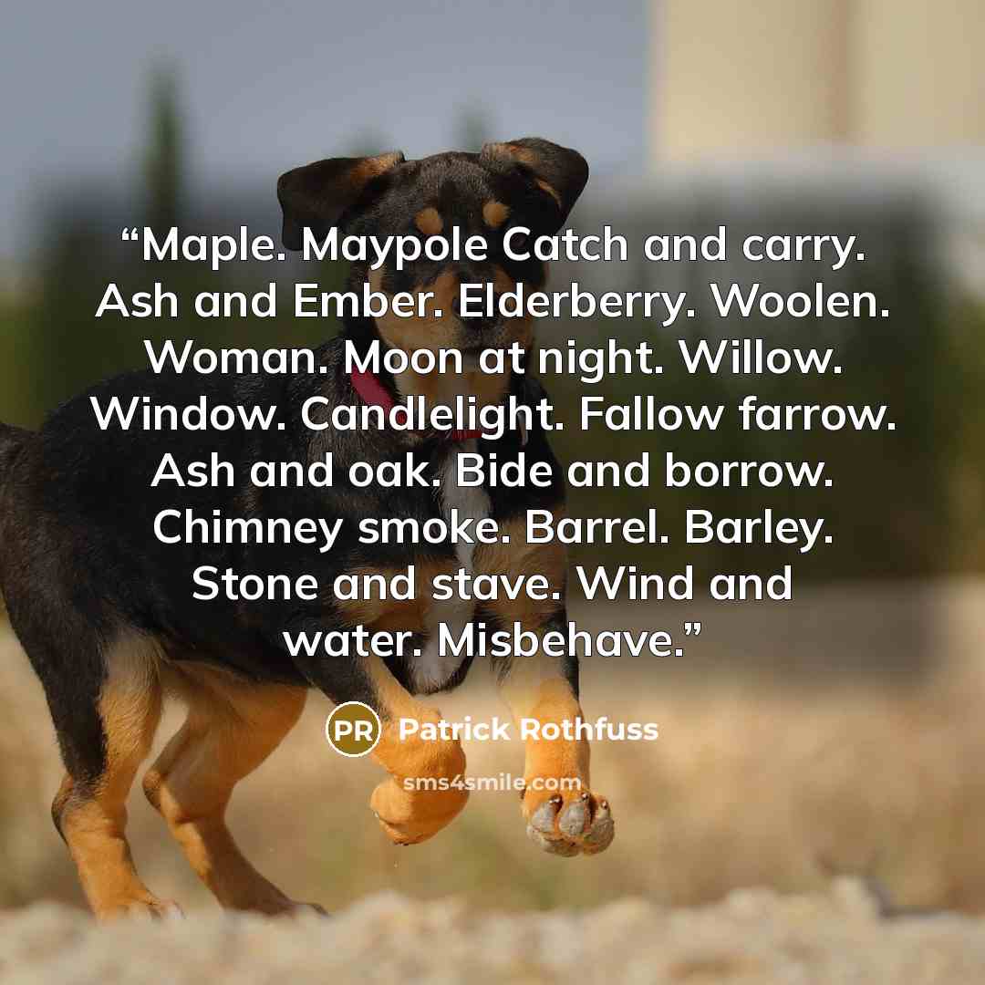 “Maple. Maypole Catch and carry. Ash and Ember. Elderberry. Woolen. Woman. Moon at night. Willow. Window. Candlelight. Fallow farrow. Ash and oak. Bide and borrow. Chimney smoke. Barrel. Barley. Stone and stave. Wind and water. Misbehave.” quote by Patrick Rothfuss