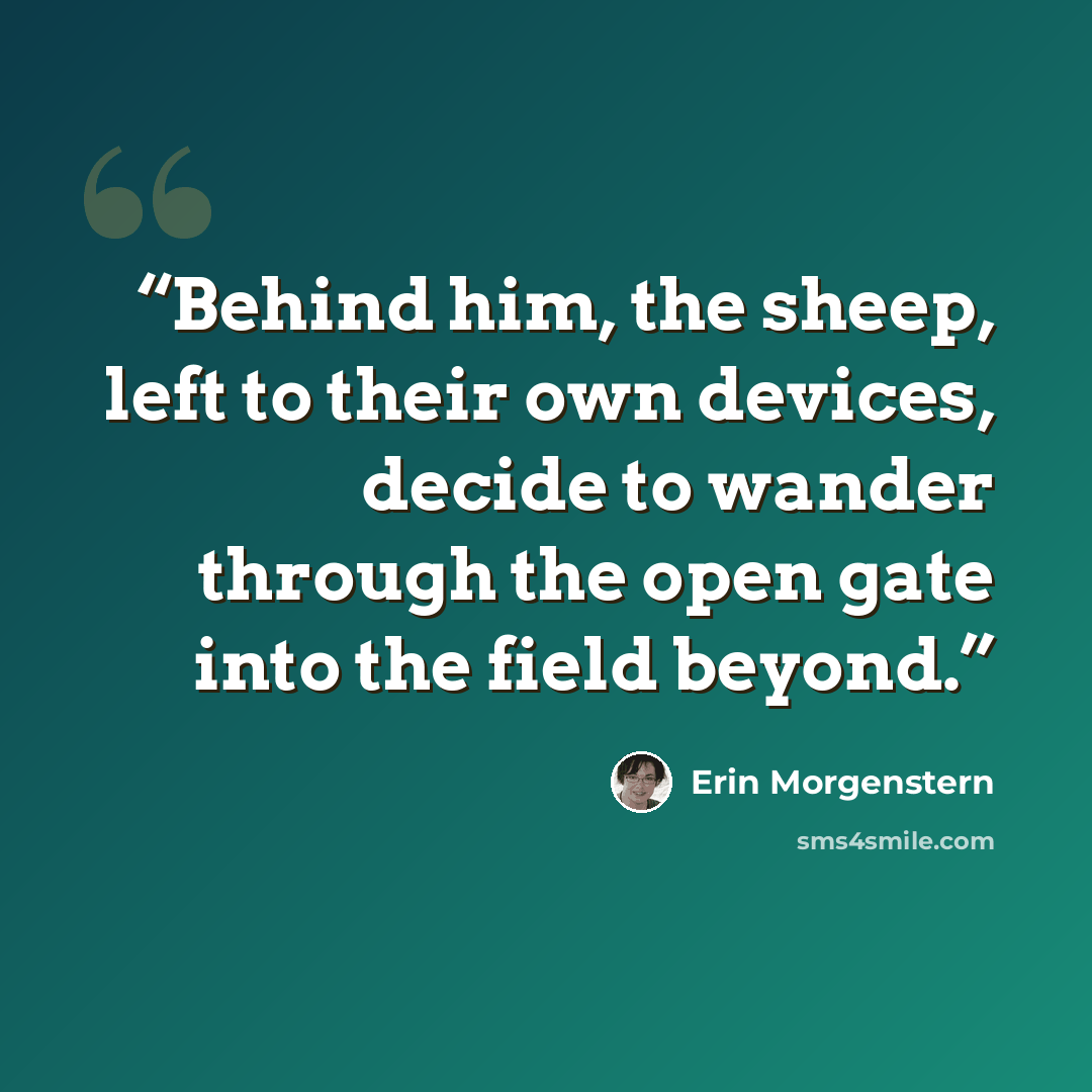 “Behind him, the sheep, left to their own devices, decide to wander through the open gate into the field beyond.” quote by Erin Morgenstern