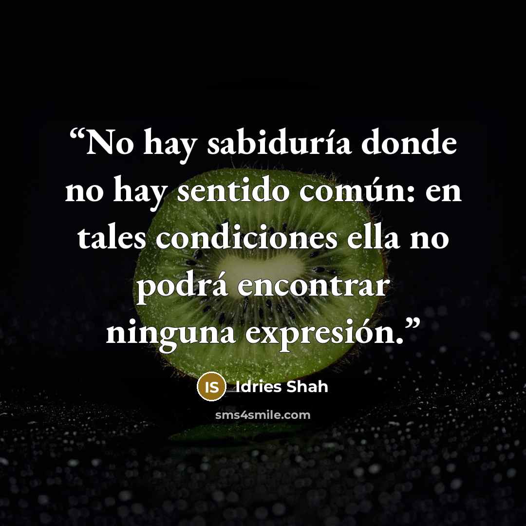 “No hay sabiduría donde no hay sentido común: en tales condiciones ella no podrá encontrar ninguna expresión.” quote by Idries Shah