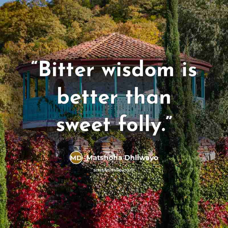 “Bitter wisdom is better than sweet folly.” quote by Matshona Dhliwayo