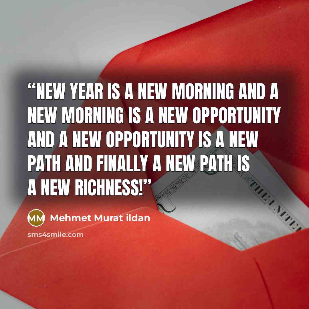“New Year is a new morning and a new morning is a new opportunity and a new opportunity is a new path and finally a new path is a new richness!” quote by Mehmet Murat ildan