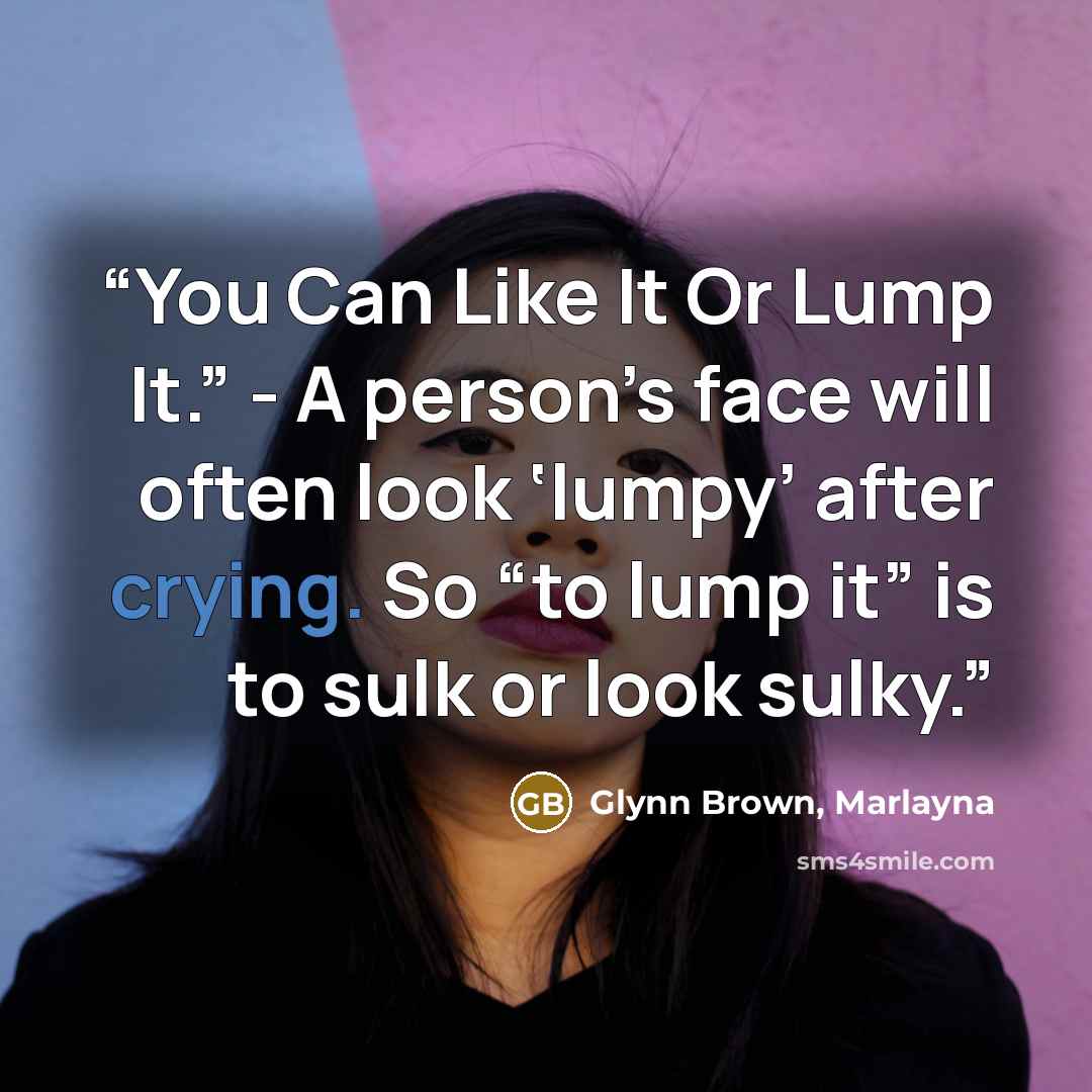 “You Can Like It Or Lump It.” - A person’s face will often look ‘lumpy’ after crying. So “to lump it” is to sulk or look sulky.” quote by Glynn Brown, Marlayna
