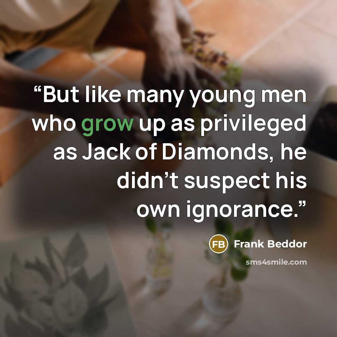 “But like many young men who grow up as privileged as Jack of Diamonds, he didn’t suspect his own ignorance.” quote by Frank Beddor