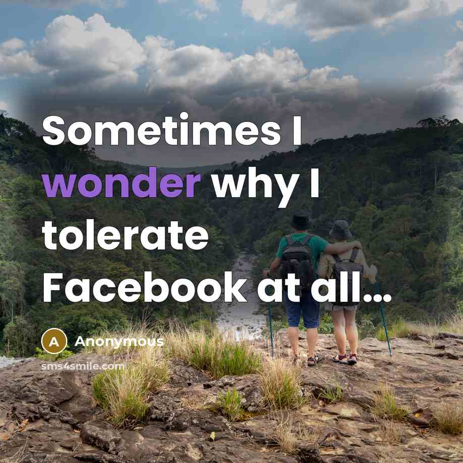 “Sometimes I wonder why I tolerate Facebook at all…” quote by Anonymous