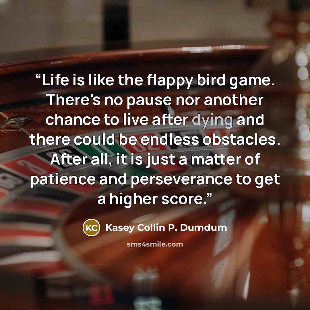 “Life is like the flappy bird game. There's no pause nor another chance to live after dying and there could be endless obstacles. After all, it is just a matter of patience and perseverance to get a higher score.” quote by Kasey Collin P. Dumdum