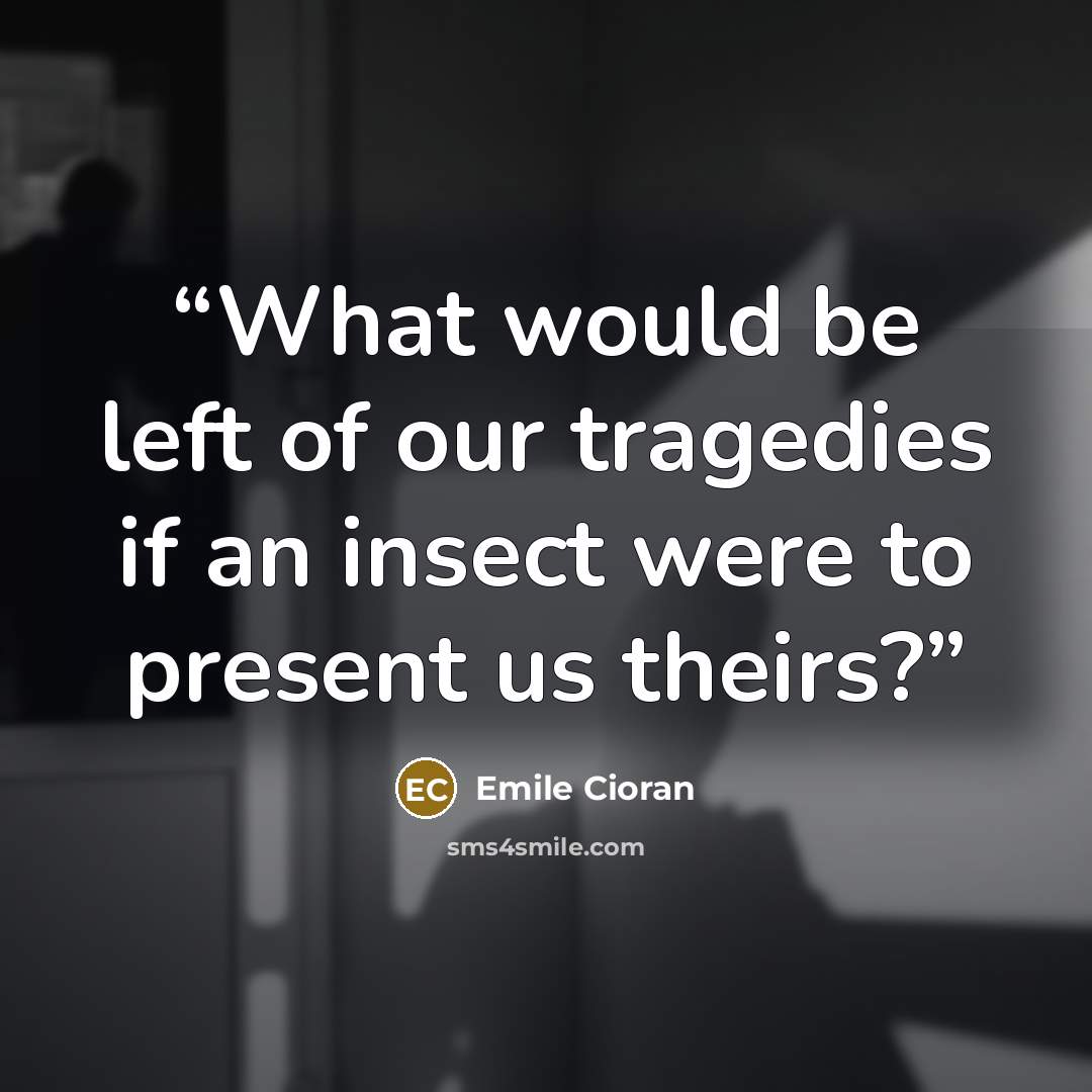 “What would be left of our tragedies if an insect were to present us theirs?” quote by Emile Cioran