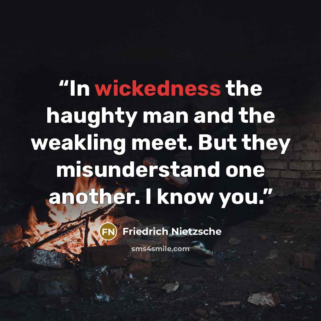 “In wickedness the haughty man and the weakling meet. But they misunderstand one another. I know you.” quote by Friedrich Nietzsche