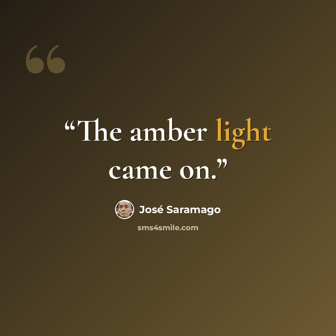 “The amber light came on.” quote by José Saramago