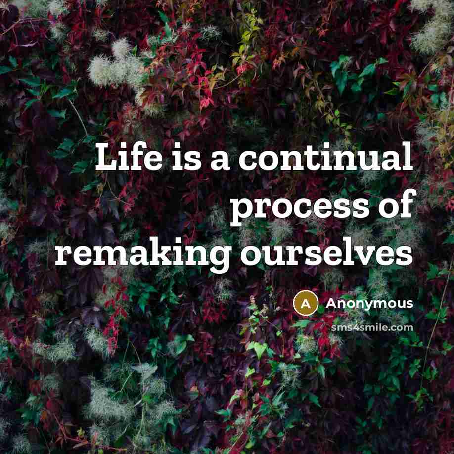 “Life is a continual process of remaking ourselves” quote by Anonymous