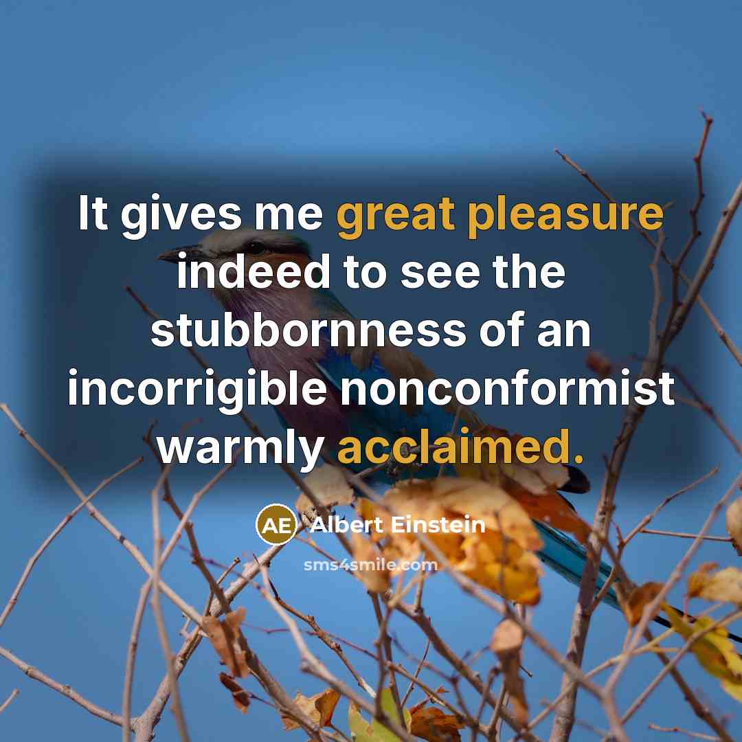 “It gives me great pleasure indeed to see the stubbornness of an incorrigible nonconformist warmly acclaimed.” quote by Albert Einstein