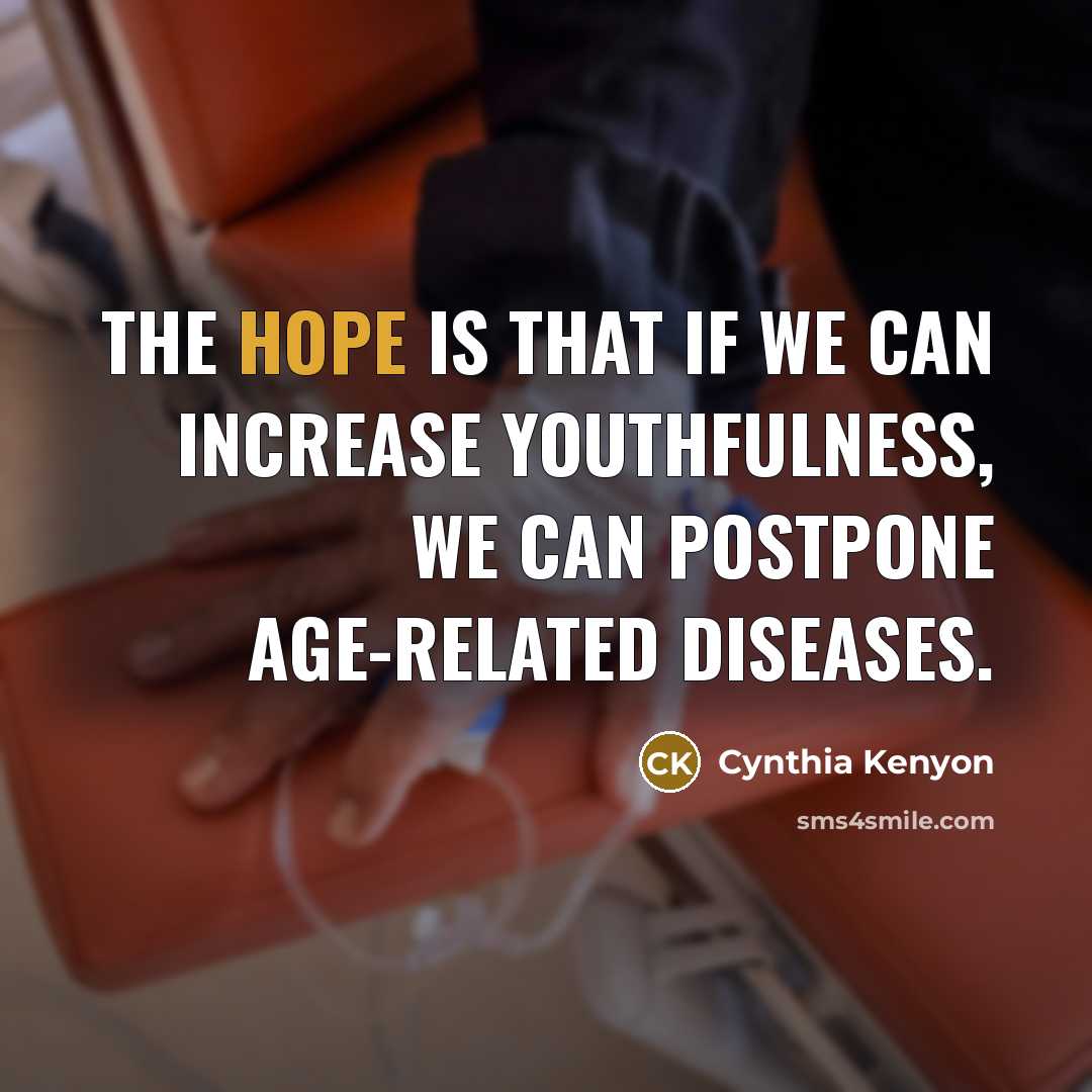“The hope is that if we can increase youthfulness, we can postpone age-related diseases.” quote by Cynthia Kenyon
