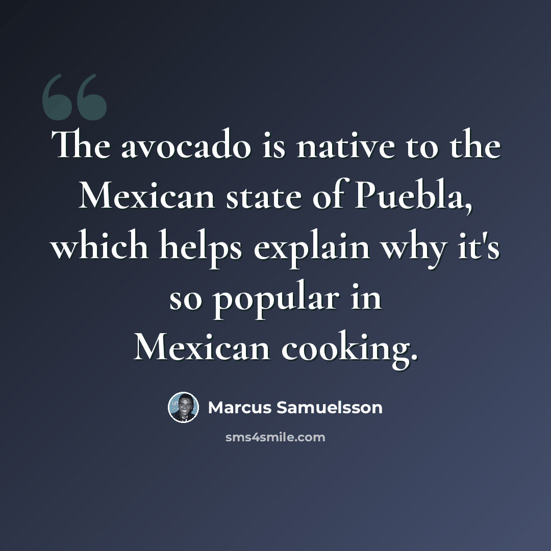 “The avocado is native to the Mexican state of Puebla, which helps explain why it's so popular in Mexican cooking.” quote by Marcus Samuelsson