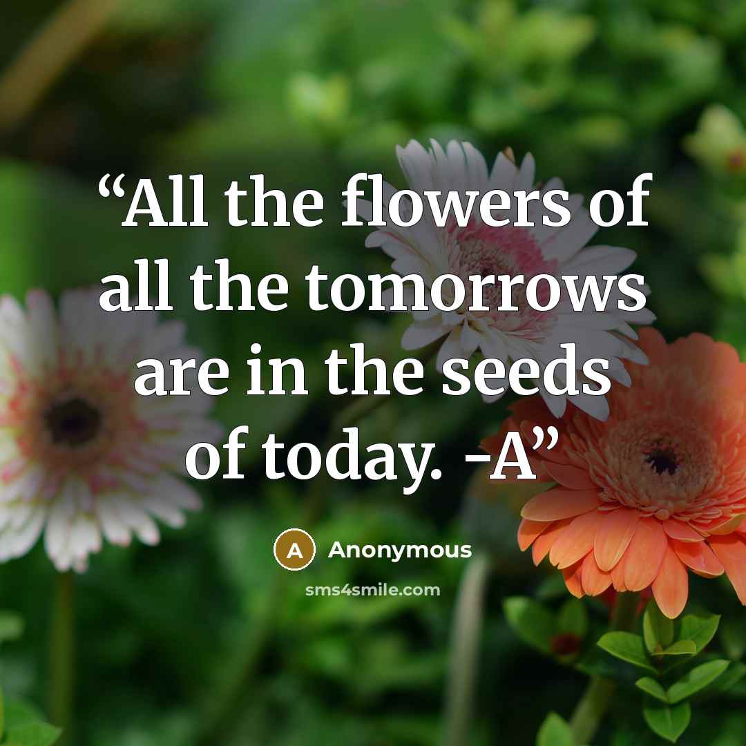 “All the flowers of all the tomorrows are in the seeds of today. -A” quote by Anonymous