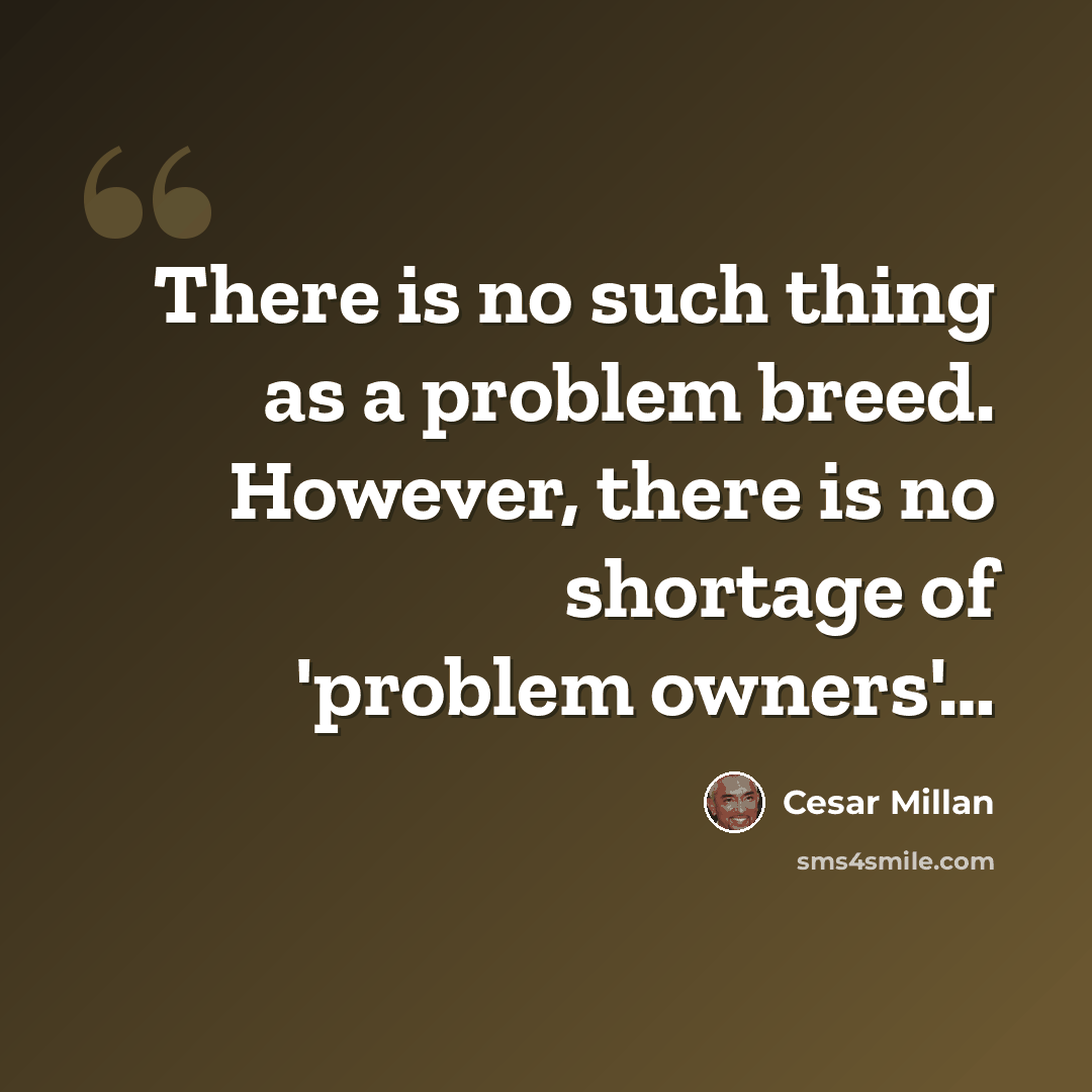 “There is no such thing as a problem breed. However, there is no shortage of 'problem owners'…” quote by Cesar Millan