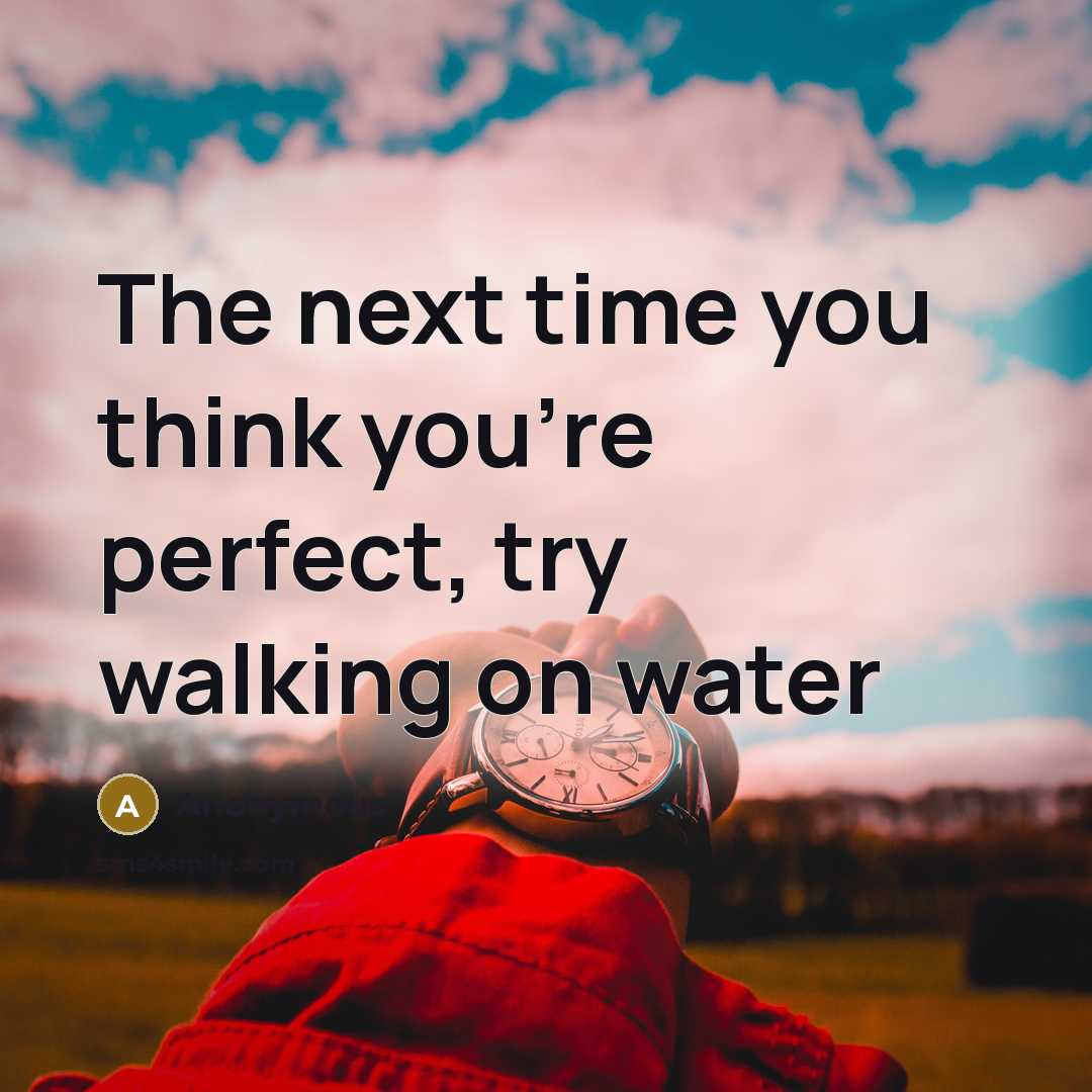 “The next time you think you're perfect, try walking on water” quote by Anonymous