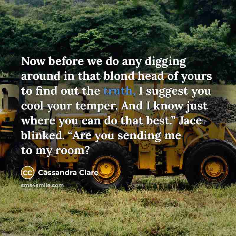 “Now before we do any digging around in that blond head of yours to find out the truth, I suggest you cool your temper. And I know just where you can do that best.” Jace blinked. “Are you sending me to my room?” quote by Cassandra Clare