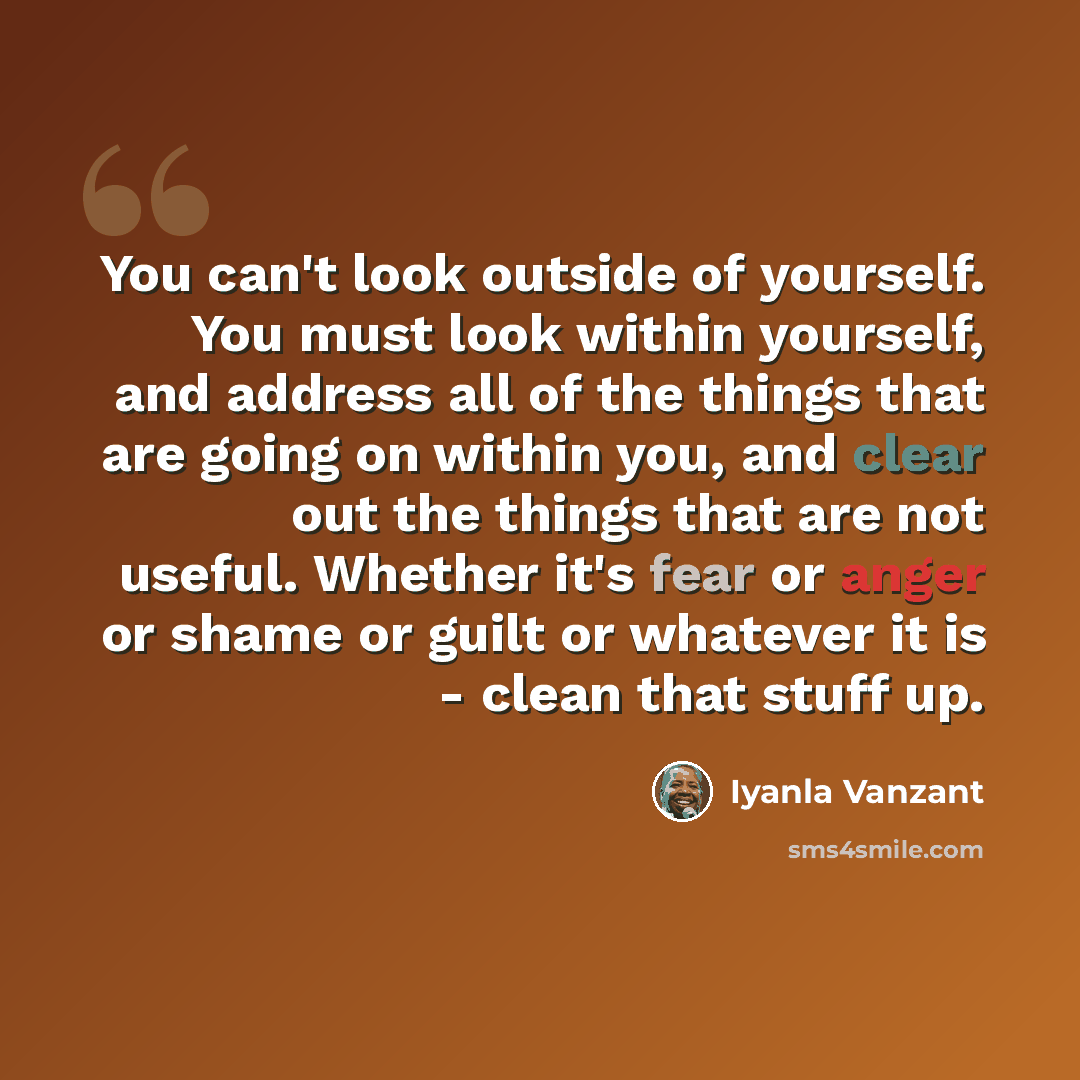 “You can't look outside of yourself. You must look within yourself, and address all of the things that are going on within you, and clear out the things that are not useful. Whether it's fear or anger or shame or guilt or whatever it is - clean that stuff up.” quote by Iyanla Vanzant