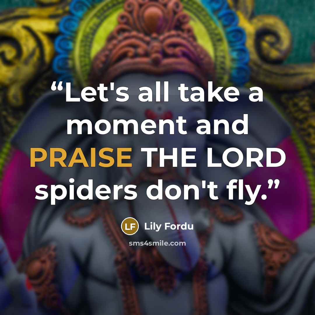 “Let's all take a moment and PRAISE THE LORD spiders don't fly.” quote by Lily Fordu