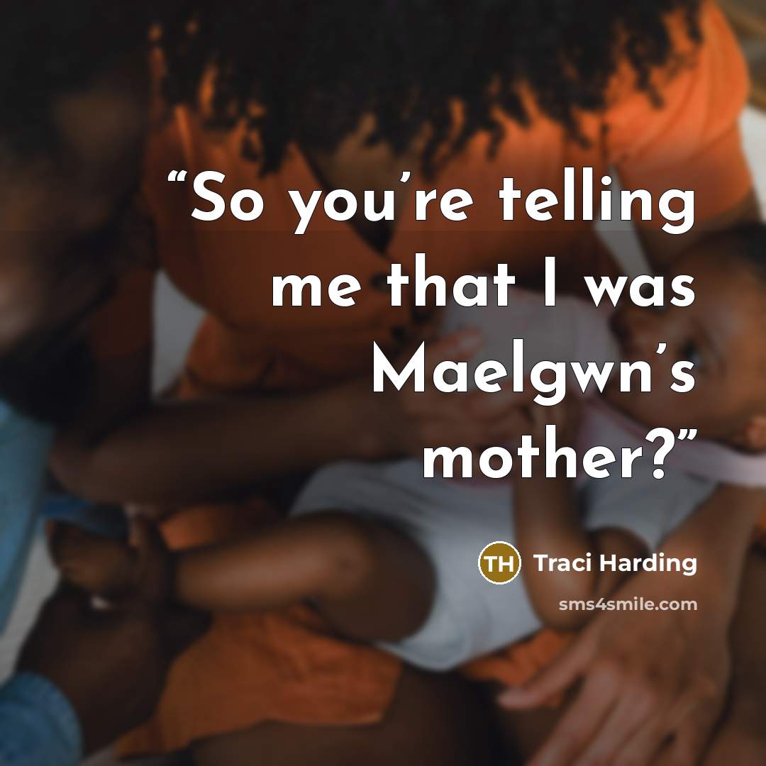 “So you’re telling me that I was Maelgwn’s mother?” quote by Traci Harding