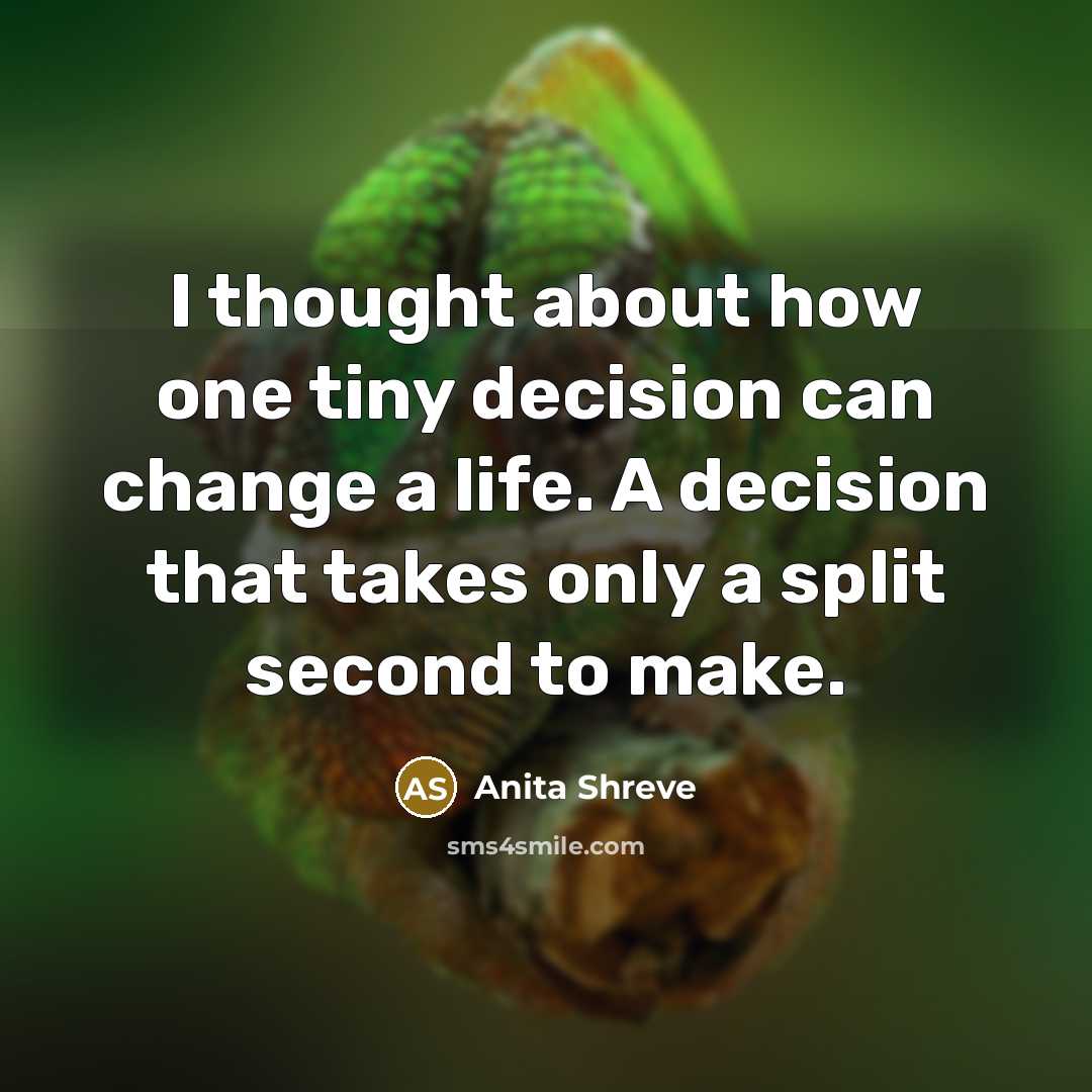 “I thought about how one tiny decision can change a life. A decision that takes only a split second to make.” quote by Anita Shreve