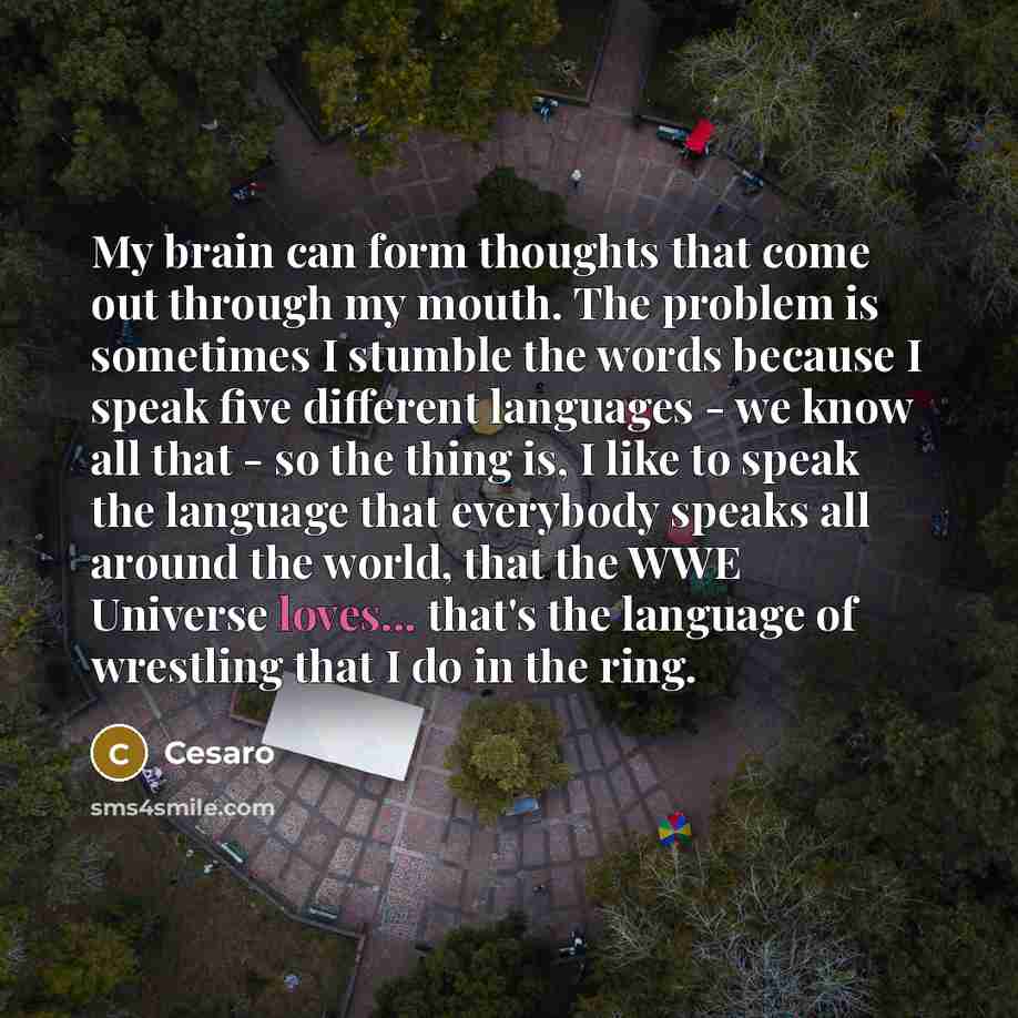 “My brain can form thoughts that come out through my mouth. The problem is sometimes I stumble the words because I speak five different languages - we know all that - so the thing is, I like to speak the language that everybody speaks all around the world, that the WWE Universe loves... that's the…” quote by Cesaro