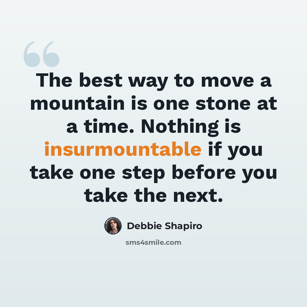 “The best way to move a mountain is one stone at a time. Nothing is insurmountable if you take one step before you take the next.” quote by Debbie Shapiro