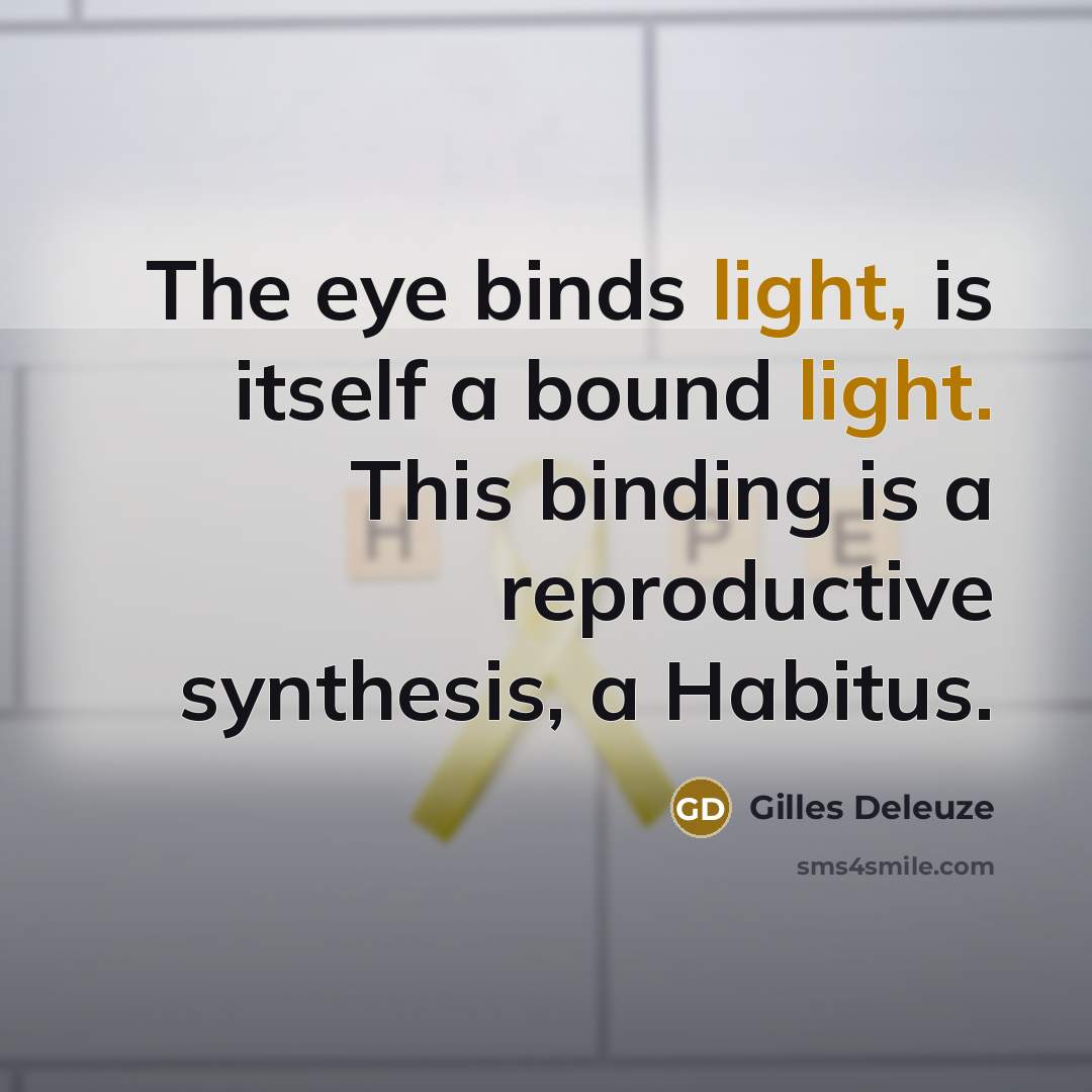 “The eye binds light, is itself a bound light. This binding is a reproductive synthesis, a Habitus.” quote by Gilles Deleuze