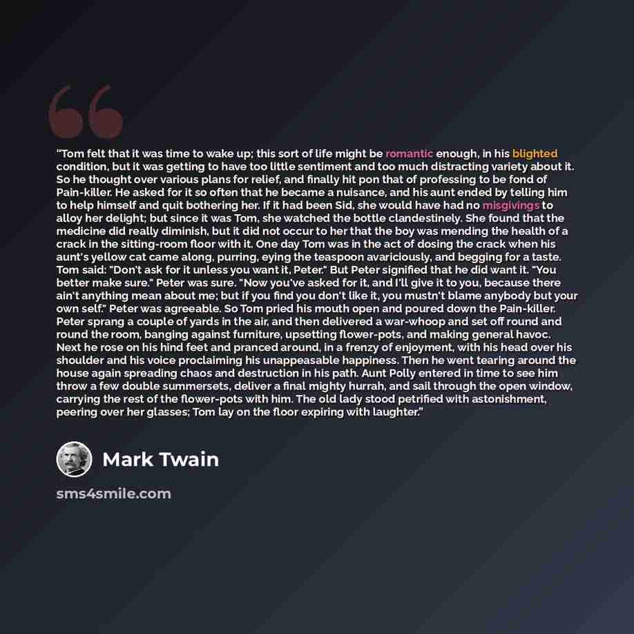 “Tom felt that it was time to wake up; this sort of life might be romantic enough, in his blighted condition, but it was getting to have too little sentiment and too much distracting variety about it. So he thought over various plans for relief, and finally hit pon that of professing to be fond of…” quote by Mark Twain