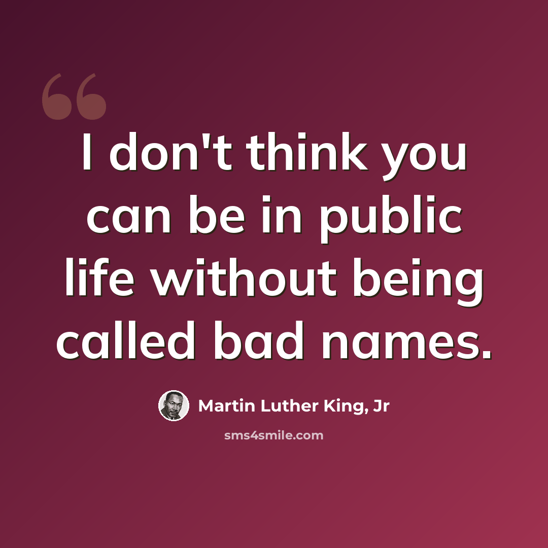 “I don't think you can be in public life without being called bad names.” quote by Martin Luther King, Jr