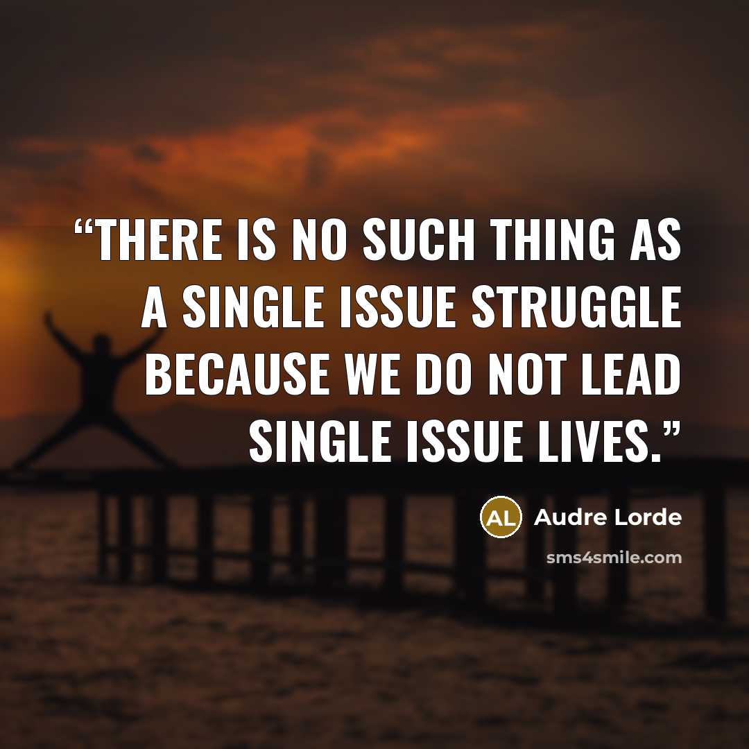 “There is no such thing as a single issue struggle because we do not lead single issue lives.” quote by Audre Lorde