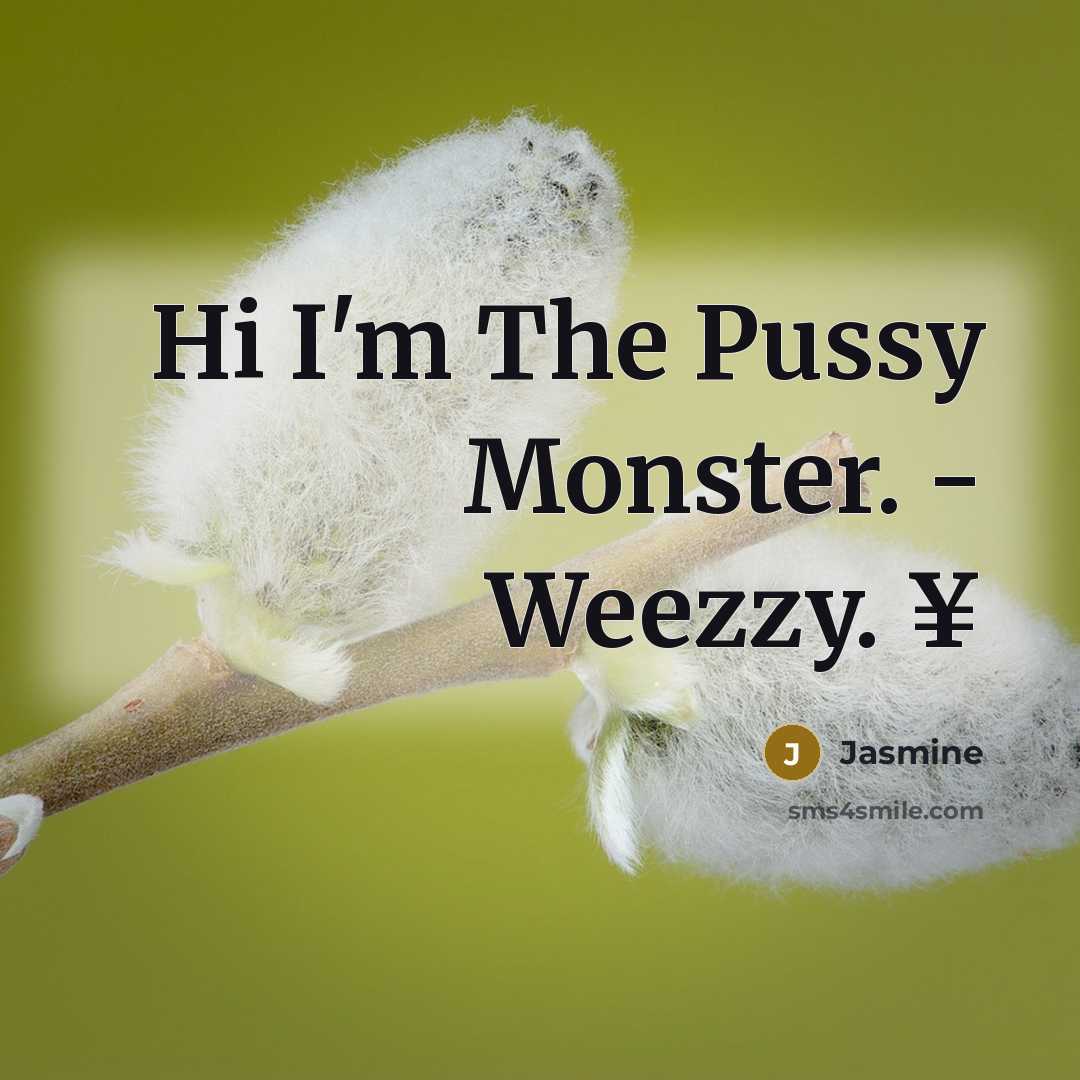 “Hi I'm The Pussy Monster. - Weezzy. ¥” quote by Jasmine
