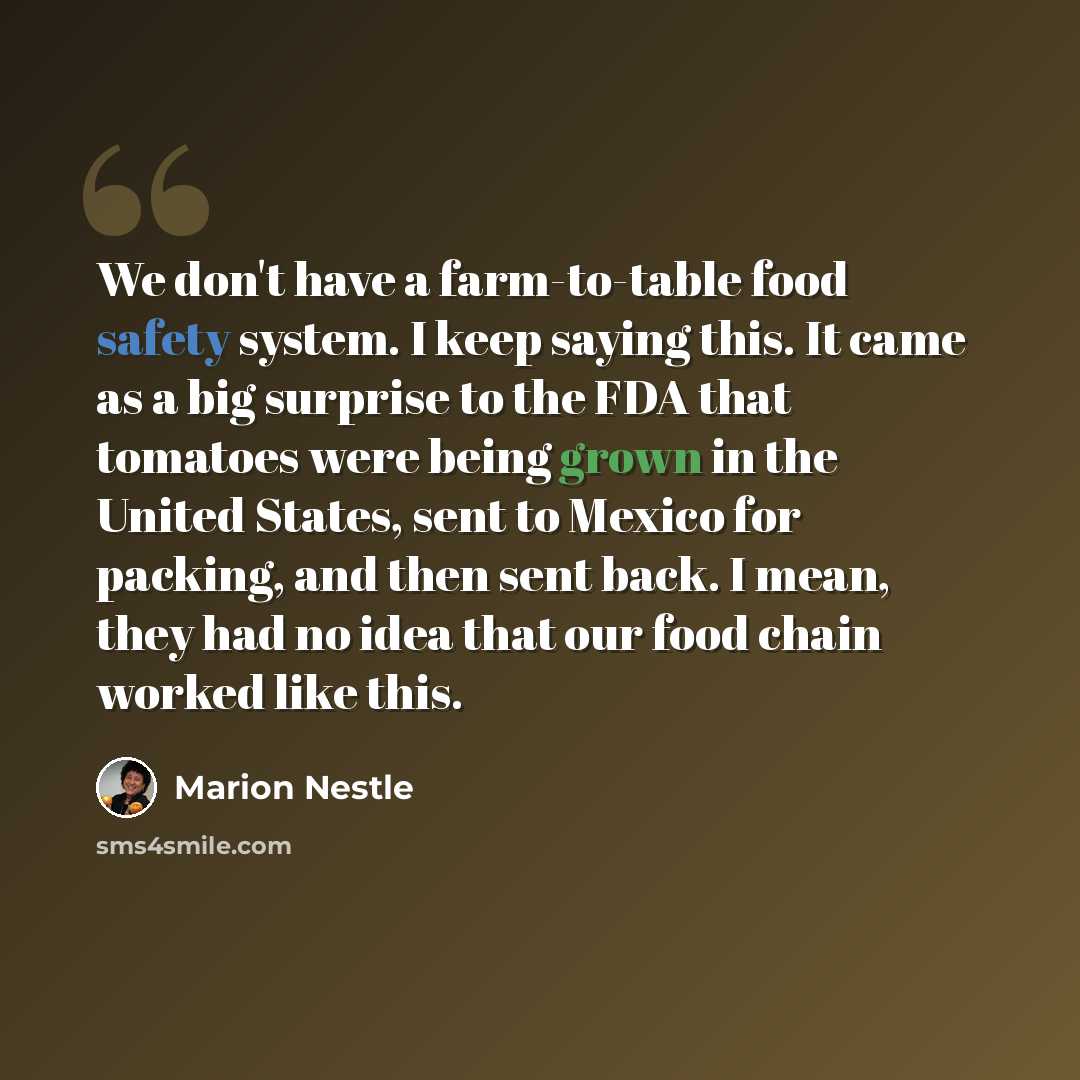 “We don't have a farm-to-table food safety system. I keep saying this. It came as a big surprise to the FDA that tomatoes were being grown in the United States, sent to Mexico for packing, and then sent back. I mean, they had no idea that our food chain worked like this.” quote by Marion Nestle