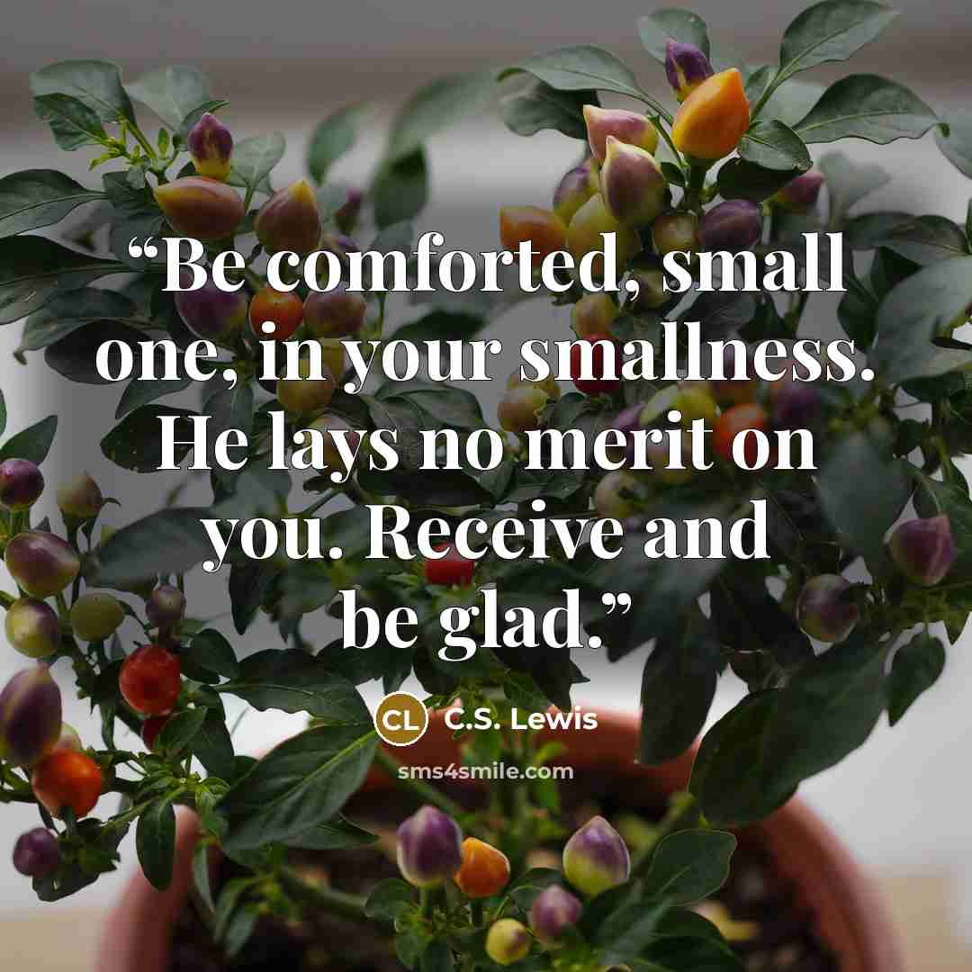 “Be comforted, small one, in your smallness. He lays no merit on you. Receive and be glad.” quote by C.S. Lewis